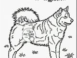 Husky Dog Coloring Pages Printable Husky Coloring Pages Fresh 2018 Dog Colouring Picture with Printable