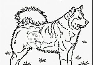 Husky Dog Coloring Pages Printable Husky Coloring Pages Fresh 2018 Dog Colouring Picture with Printable