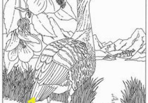 Idaho State Bird Coloring Page 96 Best Coloring Pages Line Drawings Birds Images