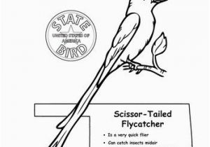 Idaho State Bird Coloring Page Idaho State Symbols Coloring Pages Idaho State Bird Coloring Page