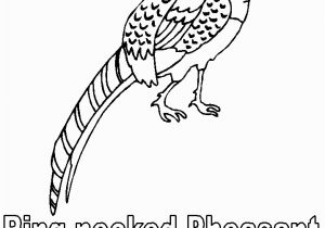 Idaho State Bird Coloring Page south Dakota Birds