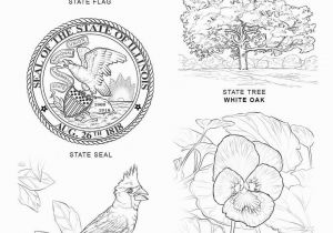 Idaho State Bird Coloring Page State Coloring Pages 8