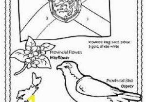 Idaho State Symbols Coloring Pages Idaho State Symbol Coloring Page by Crayola Print or Color Online