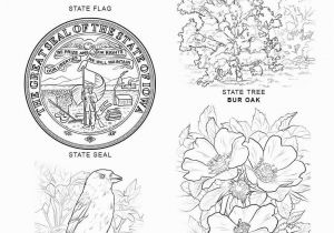 Idaho State Symbols Coloring Pages Iowa State Symbols Coloring Page Free Printable Pages with Mofassel