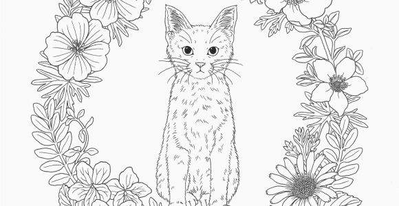 If You Give A Cat A Cupcake Coloring Page Intricate Coloring Pages Collection thephotosync