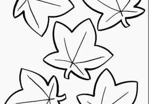 Images Of Fall Leaves Coloring Pages Fall Leaves Coloring Pages Fresh Fall Leaves Coloring Pages