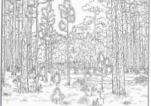 Independence Day Coloring Pages Printable Independence Day Coloring Page Fresh forest Coloring