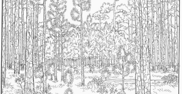 Independence Day Coloring Pages Printable Independence Day Coloring Page Fresh forest Coloring