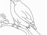 Iowa State Bird Coloring Page A Nightingale Bird Watching Coloring Page
