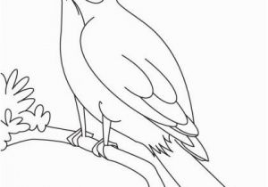 Iowa State Bird Coloring Page A Nightingale Bird Watching Coloring Page