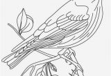 Iowa State Bird Coloring Page Iowa State Bird Coloring Page 20 Beautiful Animal Coloring Pages
