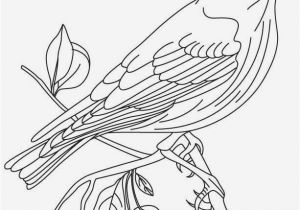 Iowa State Bird Coloring Page Iowa State Bird Coloring Page 20 Beautiful Animal Coloring Pages