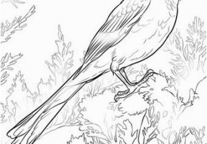 Iowa State Bird Coloring Page Iowa State Bird Coloring Page Alabama State Bird Coloring Page