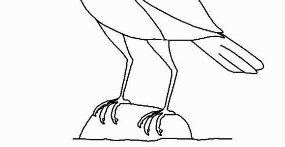 Iowa State Bird Coloring Page Iowa State Bird Coloring Page State Birds Gallery Kids Coloring