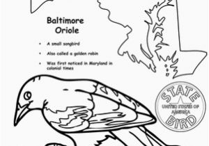 Iowa State Bird Coloring Page Maryland State Bird Ss Maryland