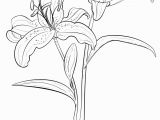 Iris Flower Coloring Page Flower Coloring Pages