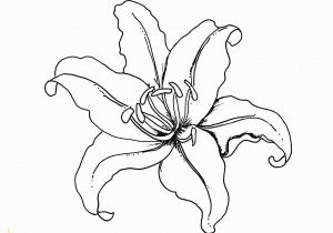 Iris Flower Coloring Page Flower Coloring Pages