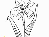 Iris Flower Coloring Page Free Line Coloring Pages thecolor