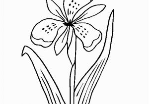 Iris Flower Coloring Page Free Line Coloring Pages thecolor