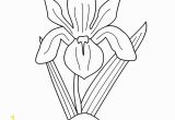 Iris Flower Coloring Page Printable Coloring Pages Dot the Dot