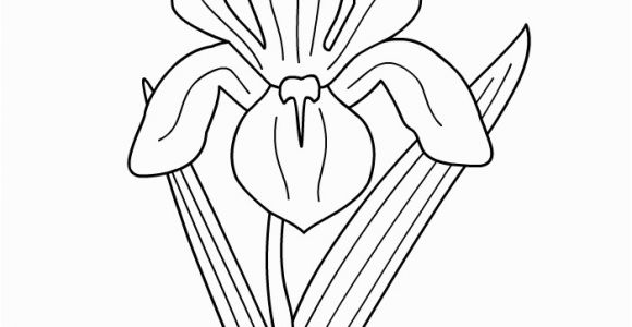 Iris Flower Coloring Page Printable Coloring Pages Dot the Dot