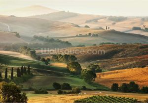 Italian Landscape Murals Italian Countryside Murals