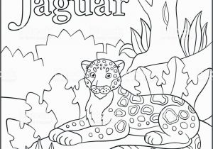 J is for Jaguar Coloring Page Ilustración De Página Para Colorear Alfabeto De Animales De Dibujos Animados J Es Para Jaguar Y