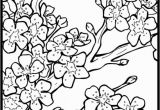 Japanese Cherry Blossom Coloring Pages Free Cherry Blossom Coloring Page to Print Out