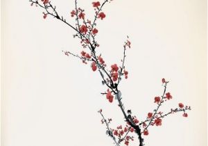 Japanese Cherry Blossom Wall Mural Winter Sweet Wall Mural • Pixers • We Live to Change