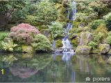 Japanese Garden Wall Murals Japanese Garden Koi Pond with Waterfall Wall Mural • Pixers • We