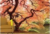 Japanese Murals for Walls Wall Mural Japanese Garden 280×200 Wallpaper Wall Art