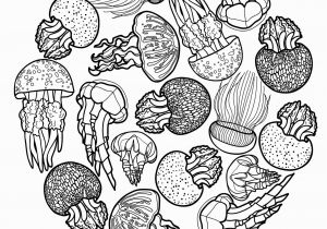 Jelly Bean Coloring Page 1097 Jelly Free Clipart 6