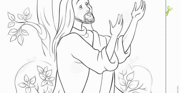Jesus Praying at Gethsemane Coloring Page the Prayer Jesus In the Gethsemane Garden Coloring