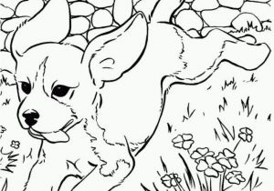 Joe Biden Coloring Pages Joe Biden Coloring Pages New Joe Biden Coloring Pages Gallery