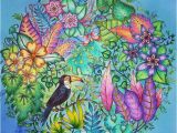 Johanna Basford Magical Jungle Colored Pages 40 Best Magical Jungle Johanna Basford Images On