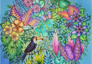 Johanna Basford Magical Jungle Colored Pages 40 Best Magical Jungle Johanna Basford Images On