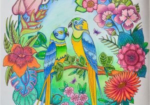 Johanna Basford Magical Jungle Colored Pages Johanna Basford Magical Jungle Faber Castell Polychromos