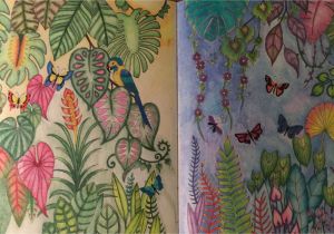 Johanna Basford Magical Jungle Colored Pages Johanna Basford Magical Jungle Prisma Color Pencils