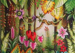 Johanna Basford Magical Jungle Colored Pages Magical Jungle Colored by Chris Cheng who Offers Video