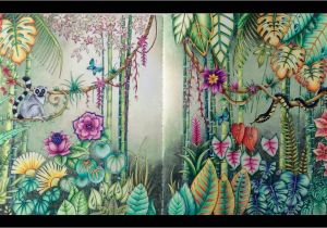 Johanna Basford Magical Jungle Colored Pages Magical Jungle Double Page Tutorial Part 1