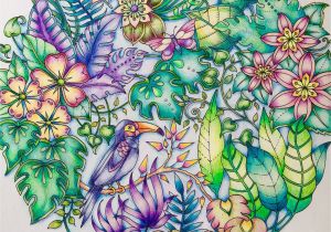 Johanna Basford Magical Jungle Colored Pages Resultado De Imagem Para Fbcdn Sphotos A A Akamaihd