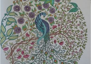 Johanna Basford Secret Garden Coloring Pages Johanna Basford Colouring Gallery