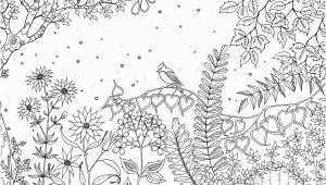 Johanna Basford Secret Garden Coloring Pages Pin Auf Joanna Basford Secret Garden