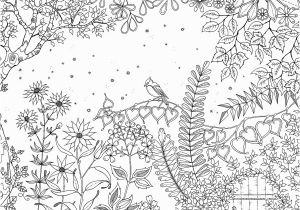 Johanna Basford Secret Garden Coloring Pages Pin Auf Joanna Basford Secret Garden