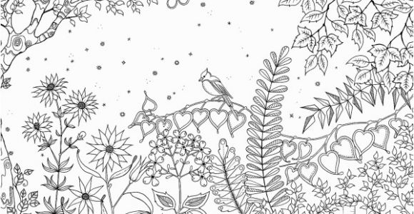 Johanna Basford Secret Garden Coloring Pages Pin Auf Joanna Basford Secret Garden