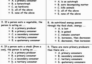 John Chapter 1 Coloring Pages John Chapter 1 Coloring Pages Fresh Food Chain Worksheet Pdf