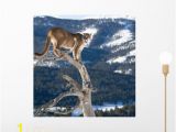 Jojo Siwa Wall Mural Mountain Lion Od Dead Wall Mural by Wallmonkeys Peel and