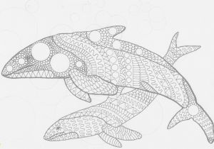 Jonah and the Whale Coloring Pages Whale Colouring Page Digital Product Digital