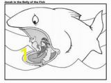 Jonah Inside the Whale Coloring Page 278 Best Jonah Images