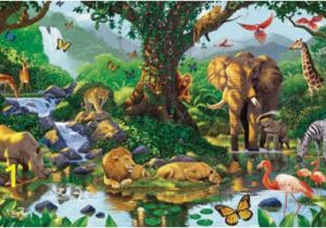 Jungle Adventure Wall Mural Nature S Harmony Jungle Animals Wallpaper Mural